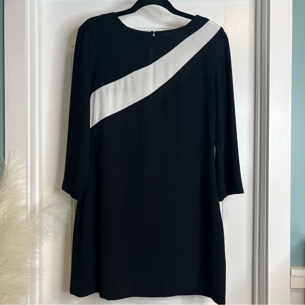 Zara Woman Black Mini Dress with White Stripe. Size Large.